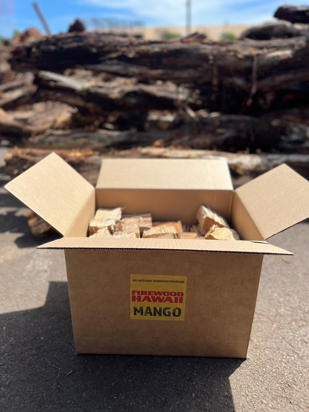 Mango Firewood Chunks - Large Box